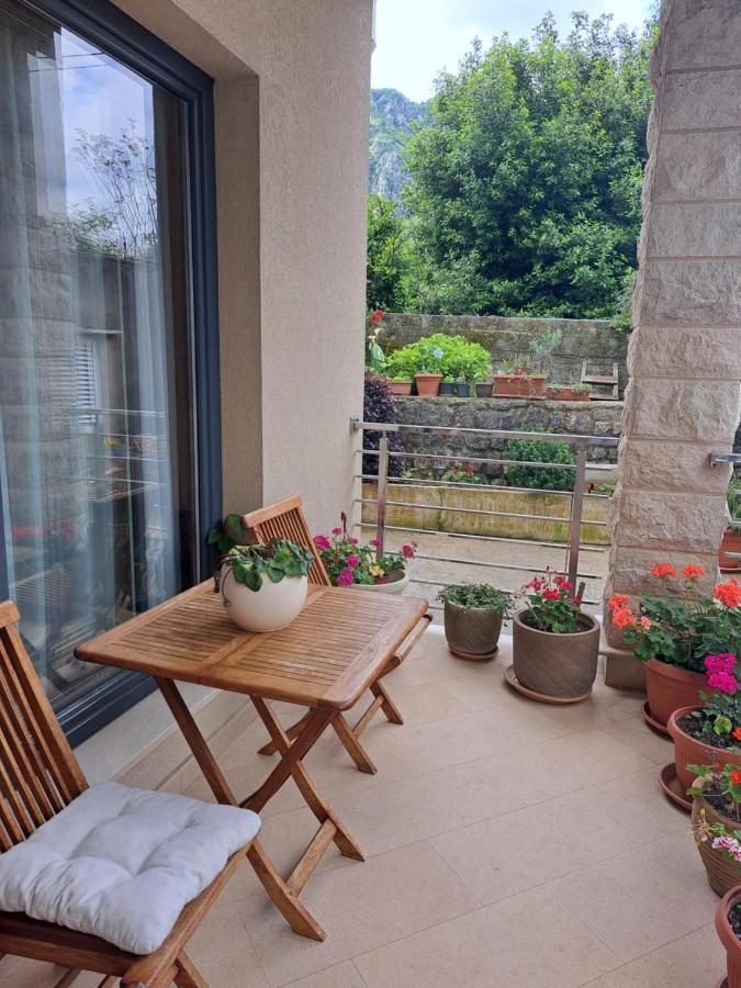 Apartment Benvenuti 科托尔 外观 照片