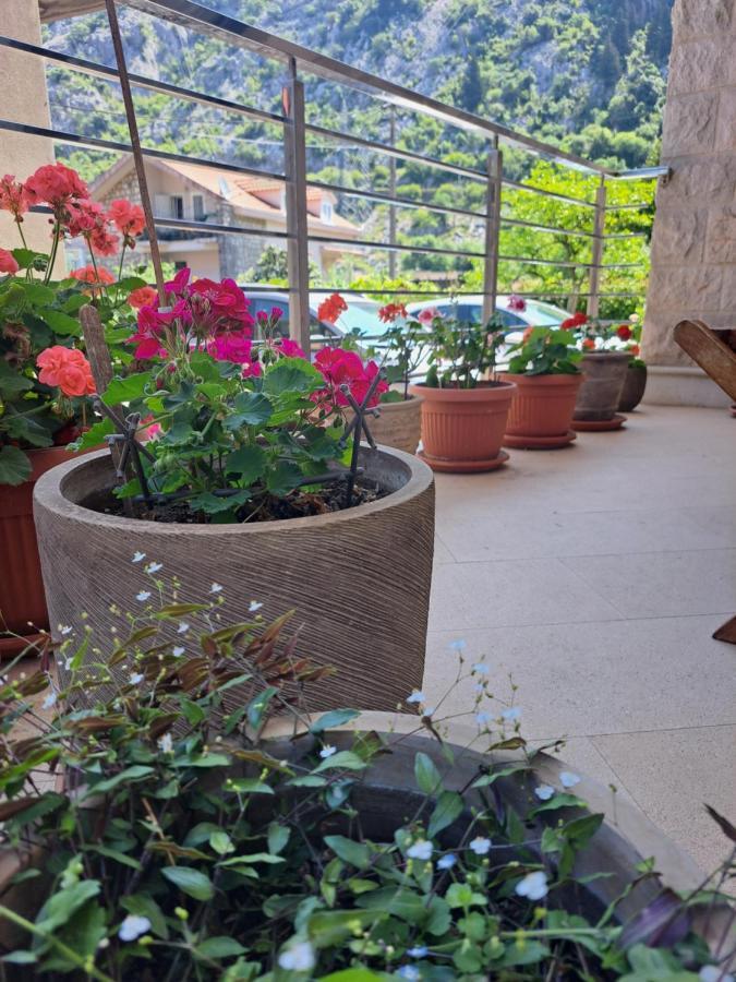 Apartment Benvenuti 科托尔 外观 照片